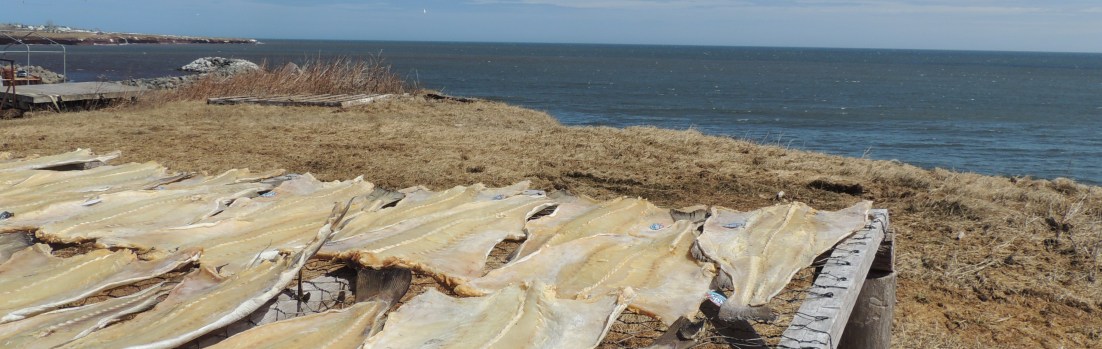 En espérant le retour de la&nbsp;morue