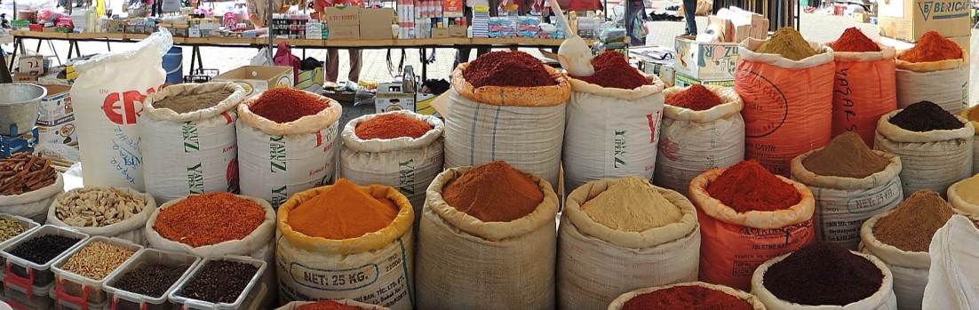 Des Amériques et de&nbsp;Turquie