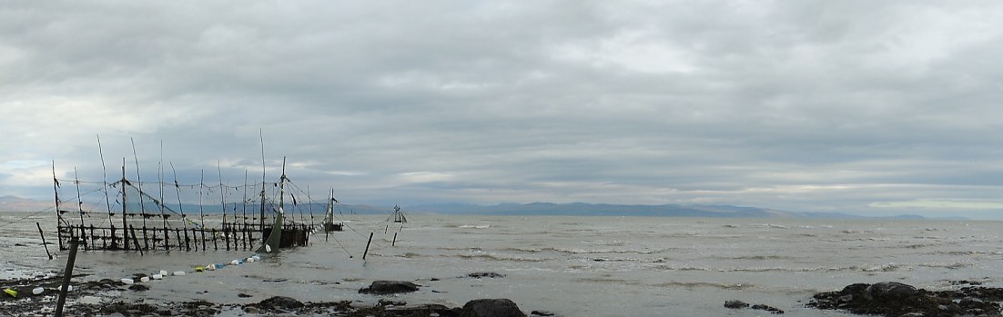 L’anguille, leçon d’histoire, de biologie, de&nbsp;cuisine.