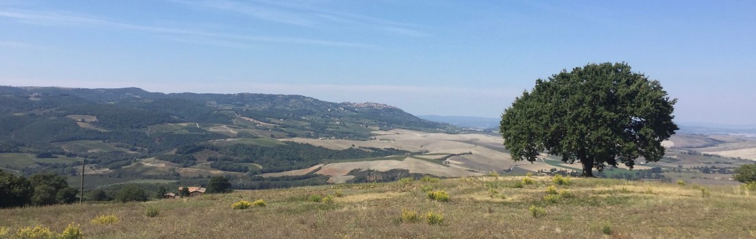 Vinsanto, le Val d’Orcia en verre, sans&nbsp;Sangiovese.